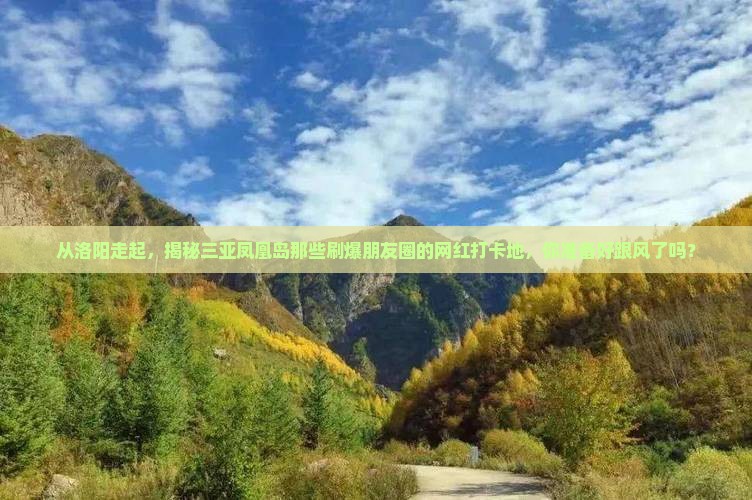 洛阳出发三亚凤凰岛旅游网红地点