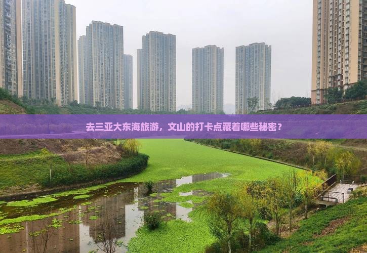文山前往三亚大东海旅游打卡点
