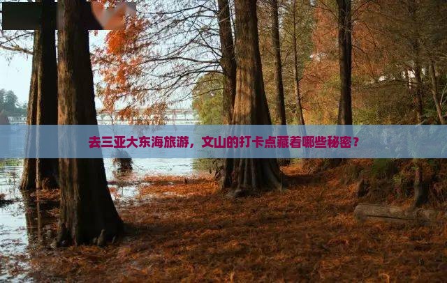 文山前往三亚大东海旅游打卡点