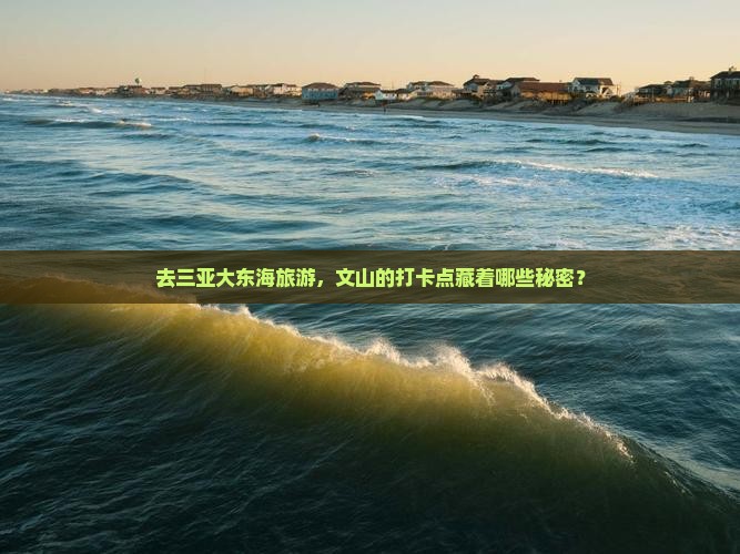 文山前往三亚大东海旅游打卡点
