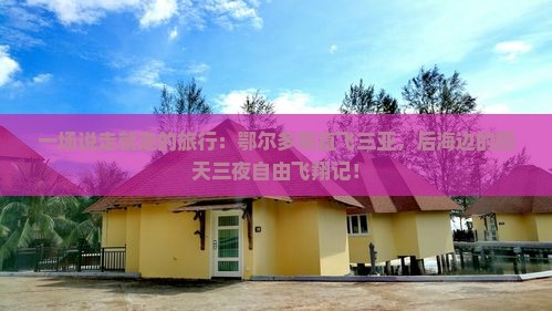 鄂尔多斯出发三亚后海四日游