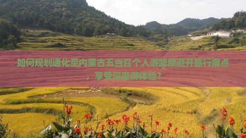 如何规划通化至内蒙古五当召个人游路犀避开旅行痛点，享受深度游体验？