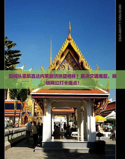 如何从霍邱直达内蒙额济纳胡杨林？解决交通难题，解锁网红打卡痛点！