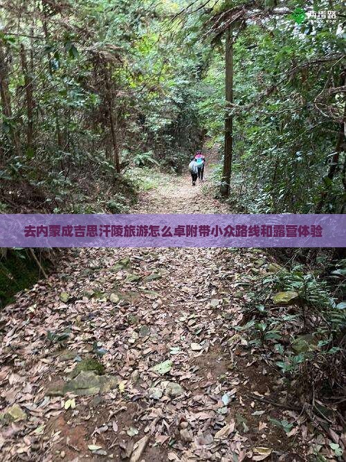 去内蒙成吉思汗陵旅游怎么卓附带小众路线和露营体验