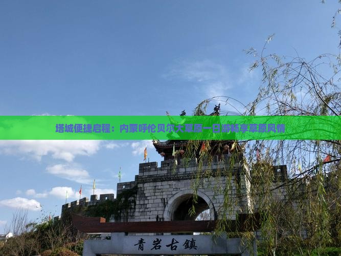 塔城便捷启程：内蒙呼伦贝尔大草原一日游畅享草原风情