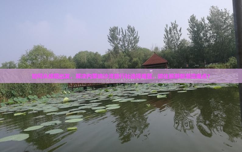 如何从绵阳出发，解决内蒙响沙湾旅行社选择难题，抓住旅游新潮流痛点？