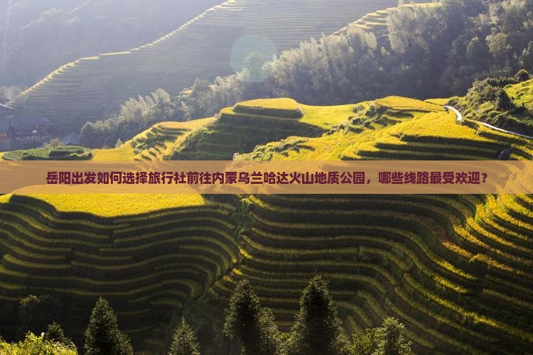 岳阳出发如何选择旅行社前往内蒙乌兰哈达火山地质公园，哪些线路最受欢迎？