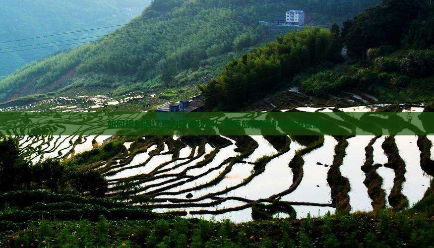 如何规划通辽至内蒙希拉穆仁草原旅行路线与必游景点？