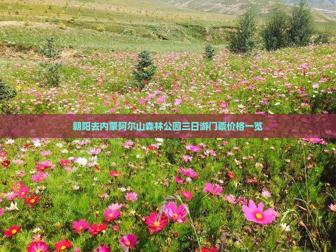 朝阳去内蒙阿尔山森林公园三日游门票价格一览