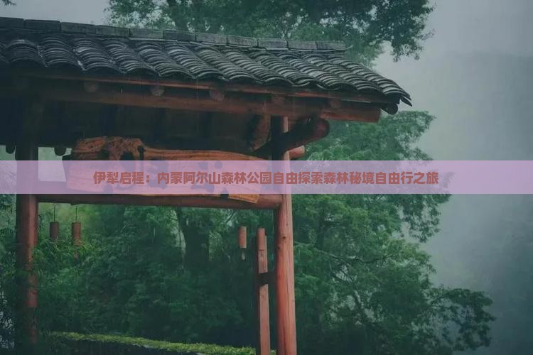 伊犁启程：内蒙阿尔山森林公园自由探索森林秘境自由行之旅