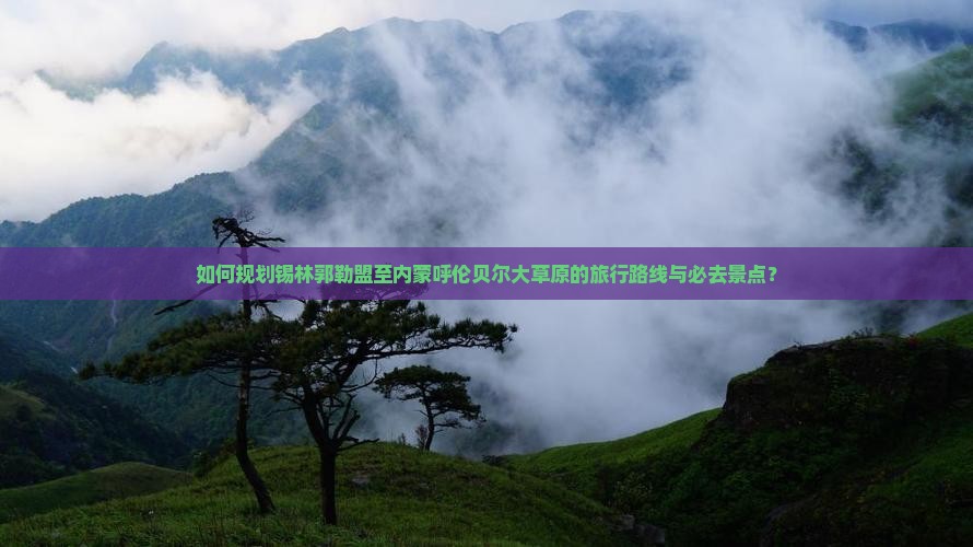 如何规划锡林郭勒盟至内蒙呼伦贝尔大草原的旅行路线与必去景点？