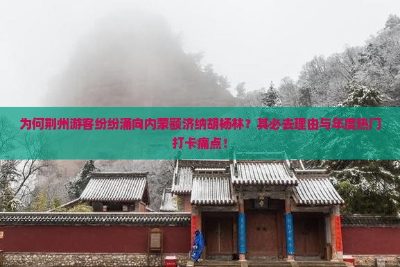 为何荆州游客纷纷涌向内蒙额济纳胡杨林？其必去理由与年度热门打卡痛点！