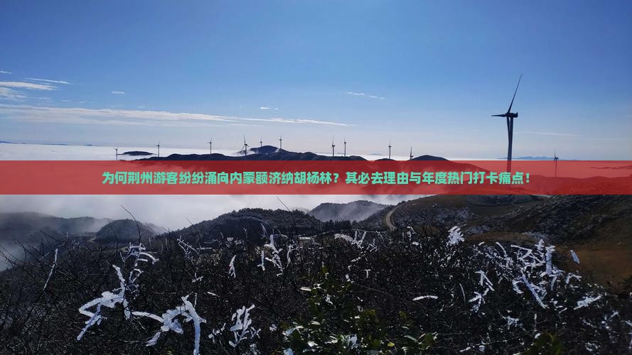 为何荆州游客纷纷涌向内蒙额济纳胡杨林？其必去理由与年度热门打卡痛点！