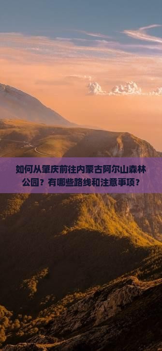 如何从肇庆前往内蒙古阿尔山森林公园？有哪些路线和注意事项？