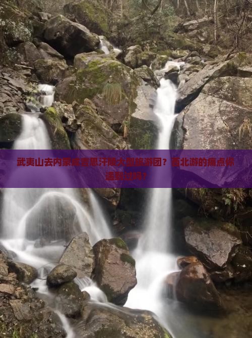 武夷山去内蒙成吉思汗陵大型旅游团？西北游的痛点你遇到过吗？