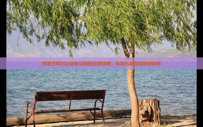 内蒙古阿尔山森林公园四日游攻略：乌海出发深度旅游体验