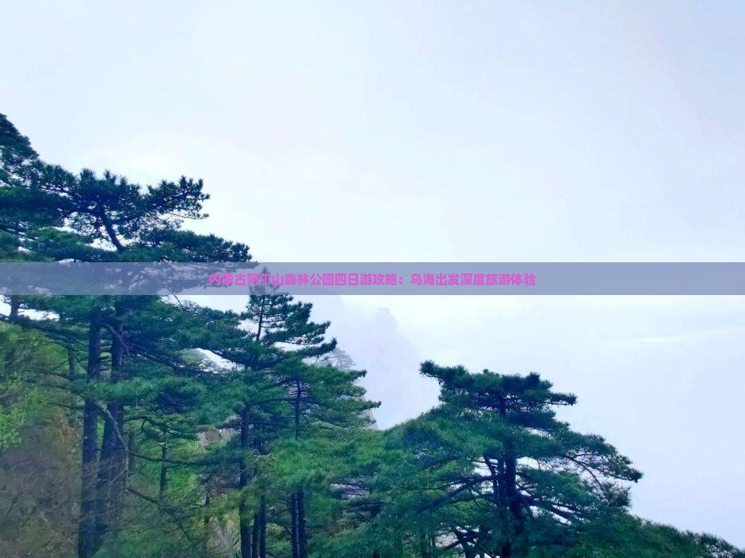 内蒙古阿尔山森林公园四日游攻略：乌海出发深度旅游体验