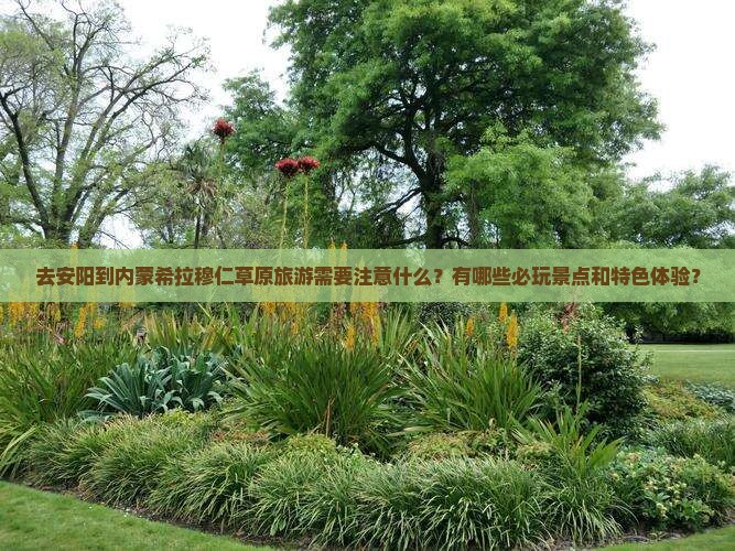 去安阳到内蒙希拉穆仁草原旅游需要注意什么？有哪些必玩景点和特色体验？