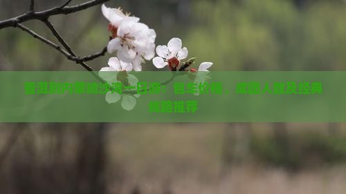 普洱到内蒙响沙湾一日游：包车价格、成团人数及经典线路推荐