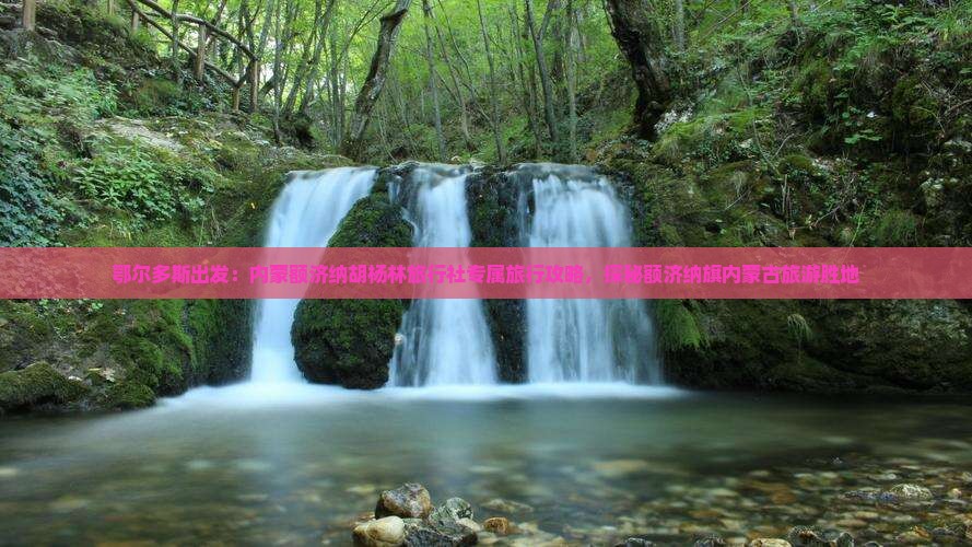 鄂尔多斯出发：内蒙额济纳胡杨林旅行社专属旅行攻略，探秘额济纳旗内蒙古旅游胜地