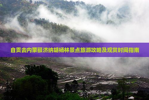 自贡去内蒙额济纳胡杨林景点旅游攻略及观赏时间指南