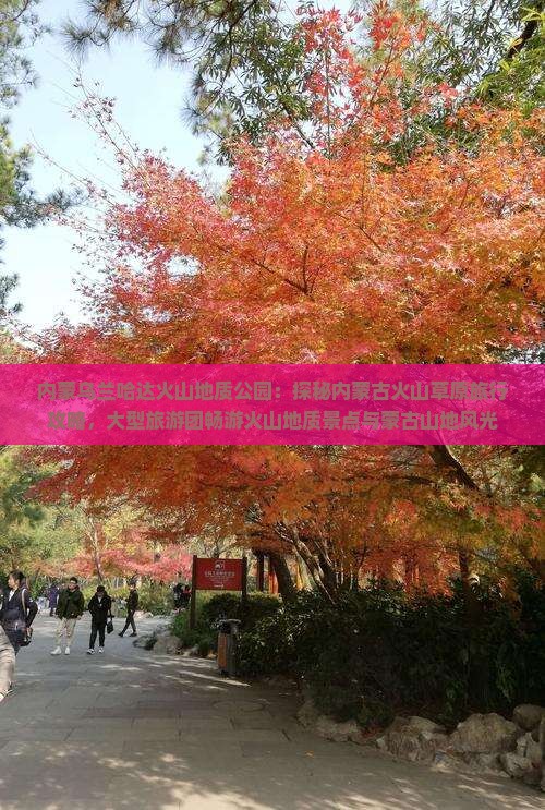 内蒙乌兰哈达火山地质公园：探秘内蒙古火山草原旅行攻略，大型旅游团畅游火山地质景点与蒙古山地风光