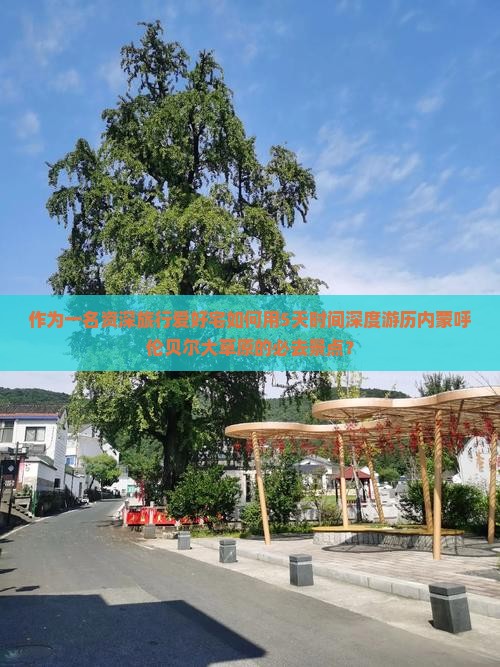 作为一名资深旅行爱好宅如何用5天时间深度游历内蒙呼伦贝尔大草原的必去景点？