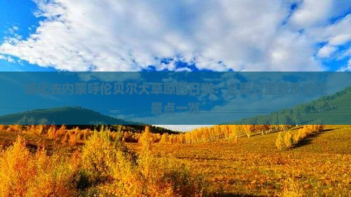 绥化去内蒙呼伦贝尔大草原四日游：全程公里数及途径景点一览