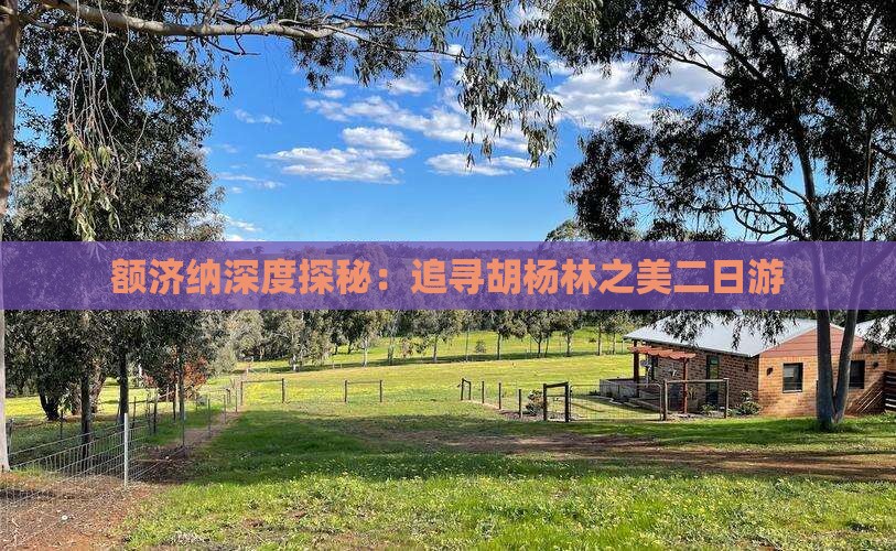 额济纳深度探秘：追寻胡杨林之美二日游