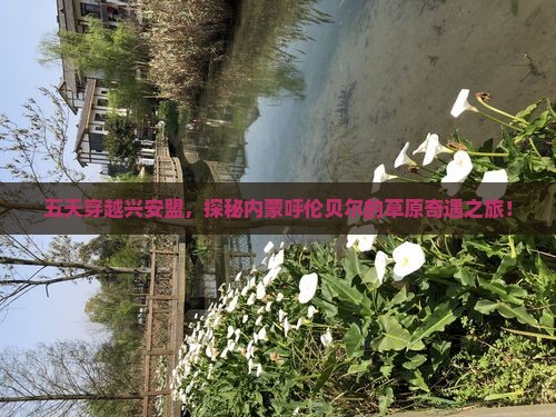 五天穿越兴安盟，探秘内蒙呼伦贝尔的草原奇遇之旅！