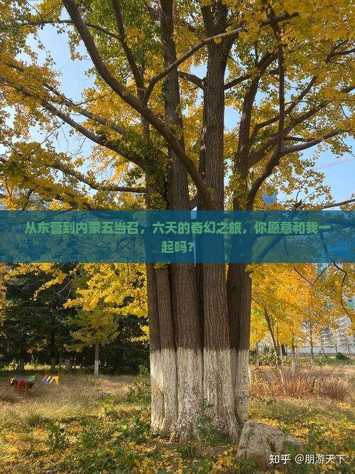从东营到内蒙五当召，六天的奇幻之旅，你愿意和我一起吗？