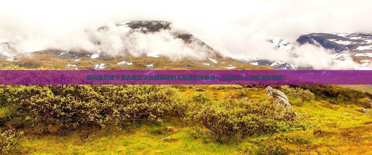 如何组织咸宁至内蒙额济纳胡杨林的高品质团体旅游？聚焦避开人潮拥堵新策略！