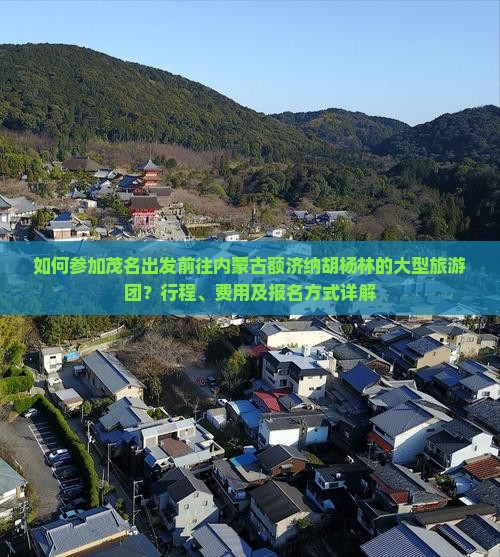 如何参加茂名出发前往内蒙古额济纳胡杨林的大型旅游团？行程、费用及报名方式详解