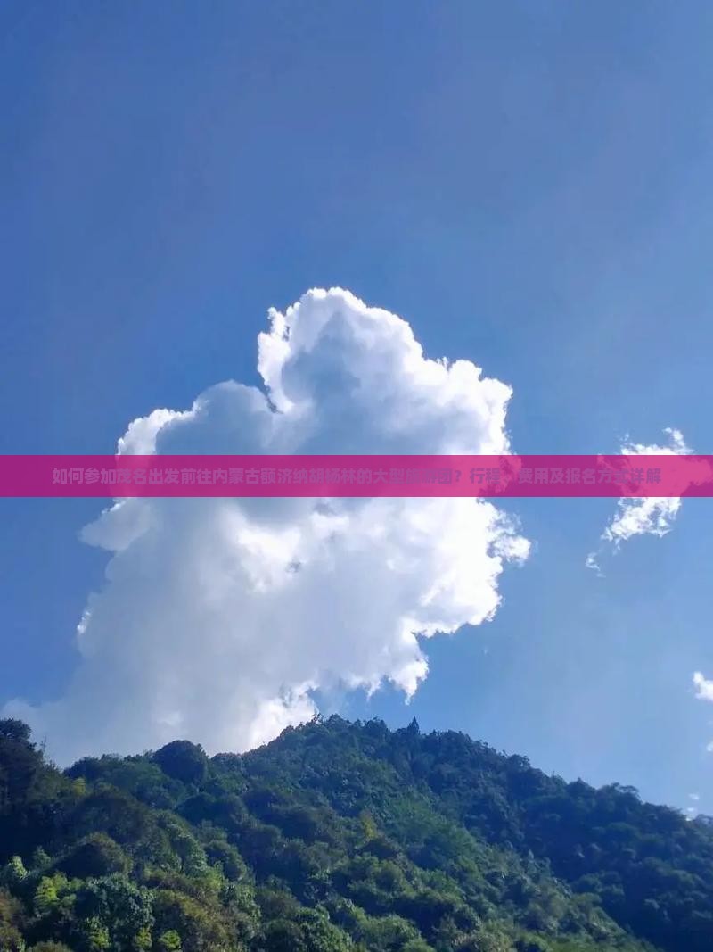 如何参加茂名出发前往内蒙古额济纳胡杨林的大型旅游团？行程、费用及报名方式详解