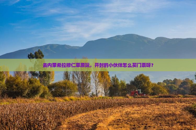 去内蒙希拉穆仁草原玩，开封的小伙伴怎么买门票呀？