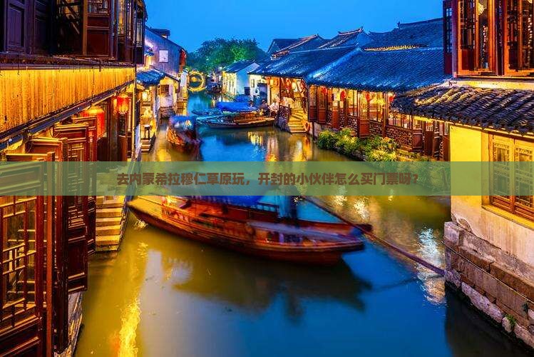去内蒙希拉穆仁草原玩，开封的小伙伴怎么买门票呀？