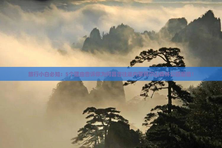 旅行小白必知：5个理由告诉你为何昌吉往返内蒙阿尔山森林公园超值！