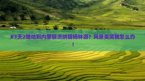 #3天2晚哈到内蒙额济纳胡杨林游？风景美哭我怎么办！