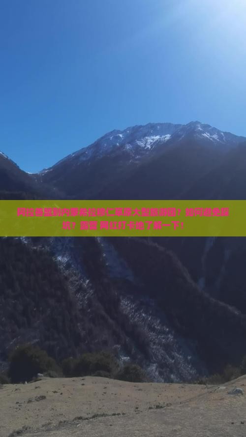 阿拉善盟到内蒙希拉穆仁草原大型旅游团？如何避免踩坑？露营+网红打卡地了解一下！