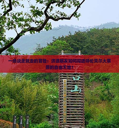 一场说走就走的冒险：济源朋友如何闯进呼伦贝尔大草原的自由天地？