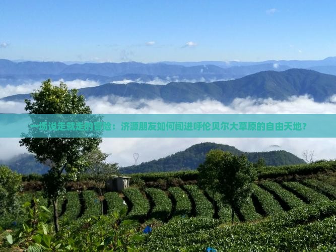 一场说走就走的冒险：济源朋友如何闯进呼伦贝尔大草原的自由天地？