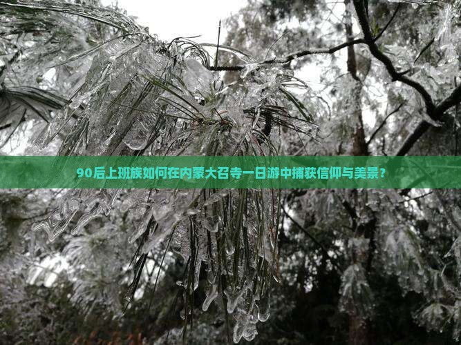 90后上班族如何在内蒙大召寺一日游中捕获信仰与美景？