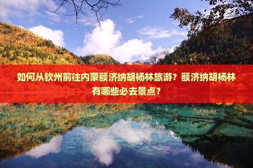 如何从钦州前往内蒙额济纳胡杨林旅游？额济纳胡杨林有哪些必去景点？