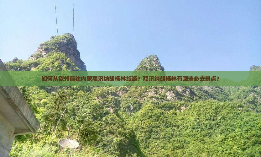如何从钦州前往内蒙额济纳胡杨林旅游？额济纳胡杨林有哪些必去景点？