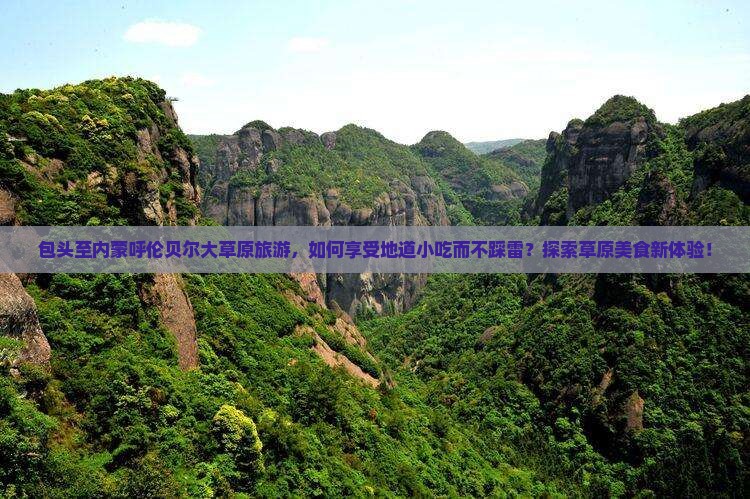 包头至内蒙呼伦贝尔大草原旅游，如何享受地道小吃而不踩雷？探索草原美食新体验！