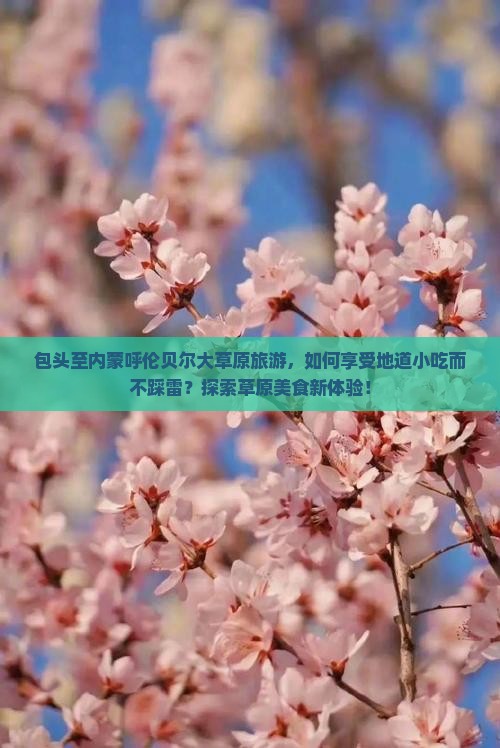 包头至内蒙呼伦贝尔大草原旅游，如何享受地道小吃而不踩雷？探索草原美食新体验！