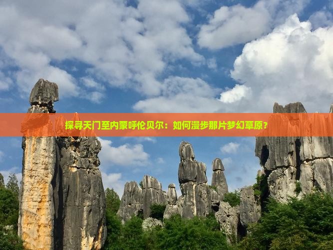 探寻天门至内蒙呼伦贝尔：如何漫步那片梦幻草原？