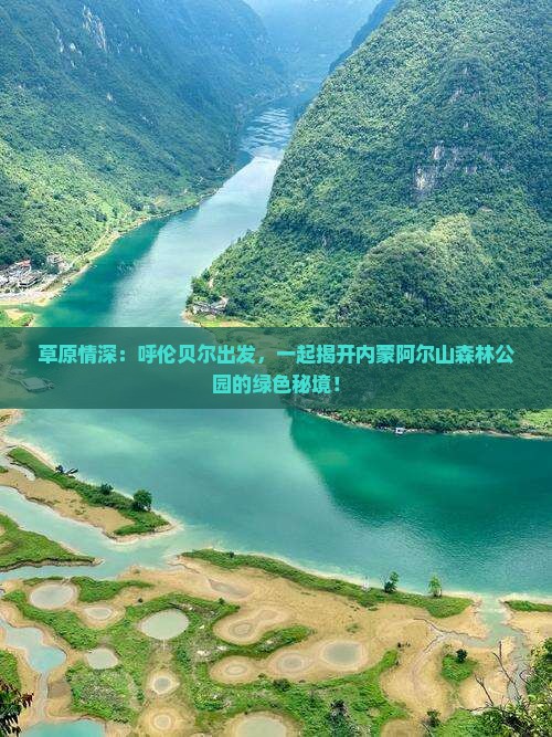 草原情深：呼伦贝尔出发，一起揭开内蒙阿尔山森林公园的绿色秘境！