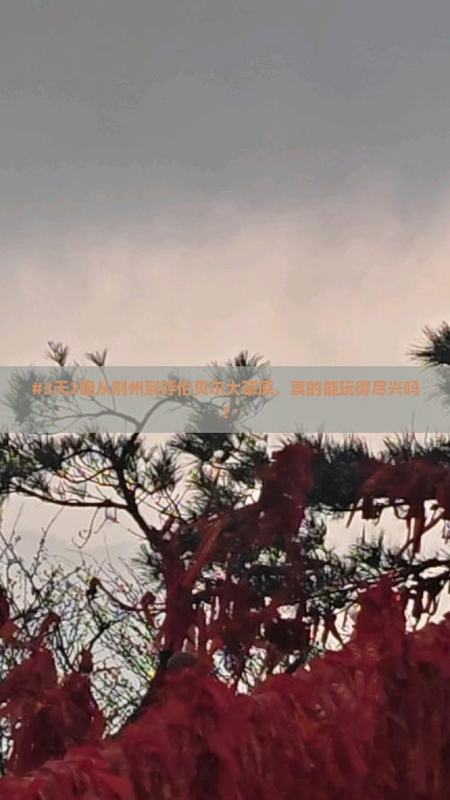 #3天2晚从荆州到呼伦贝尔大草原，真的能玩得尽兴吗？