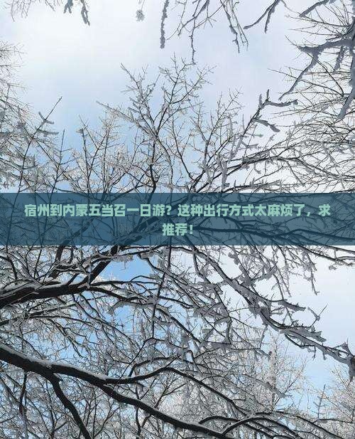 宿州到内蒙五当召一日游？这种出行方式太麻烦了，求推荐！